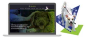 Cell Dogs Website